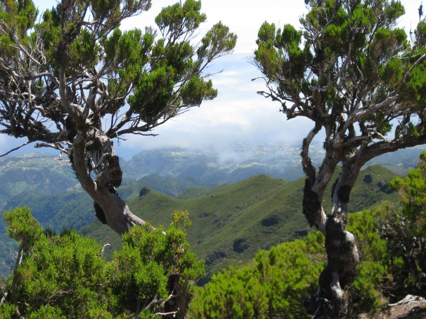 Madeira: Full-Day Pico Ruivo / Achada do Teixeira Walk - Price and Value at About $53 per Person