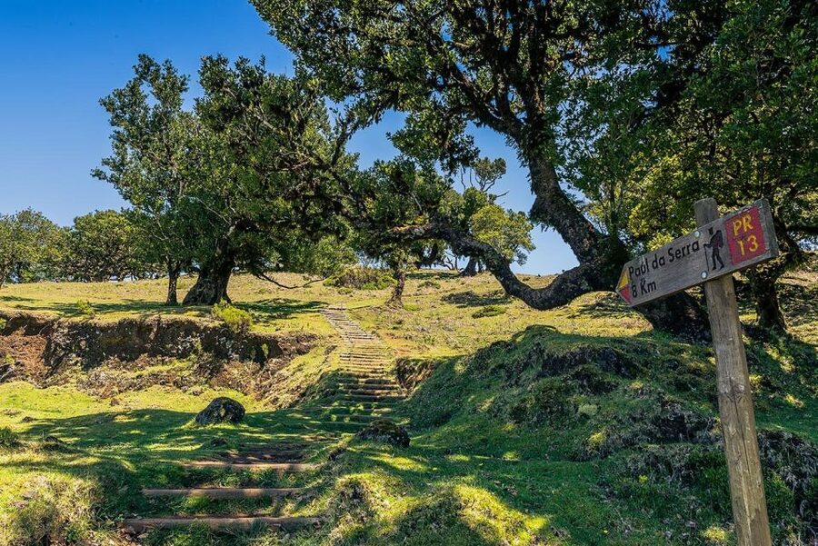 Madeira: Full-Day Porto Moniz Jeep Tour - Getting Started in Funchal, Then Pointing Straight for Cabo Girão