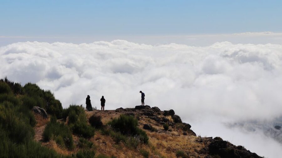 Madeira: Full Day Private Jeep Tour East or West - A private jeep day on Madeira, East or West
