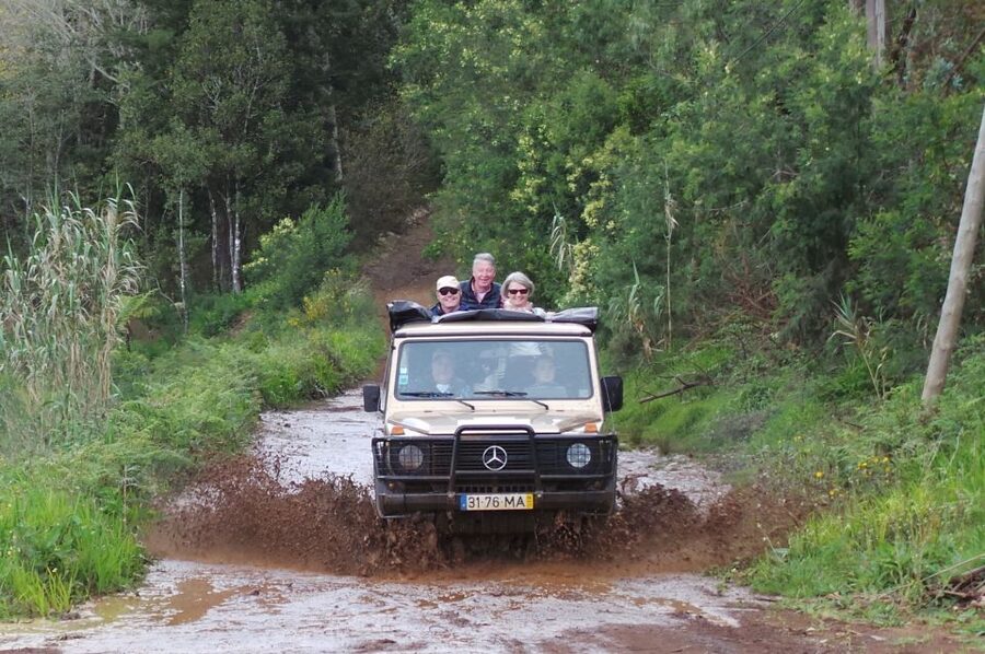 Madeira: Full Day Private Jeep Tour East or West - Pickup, vehicle basics, and why the small comforts matter