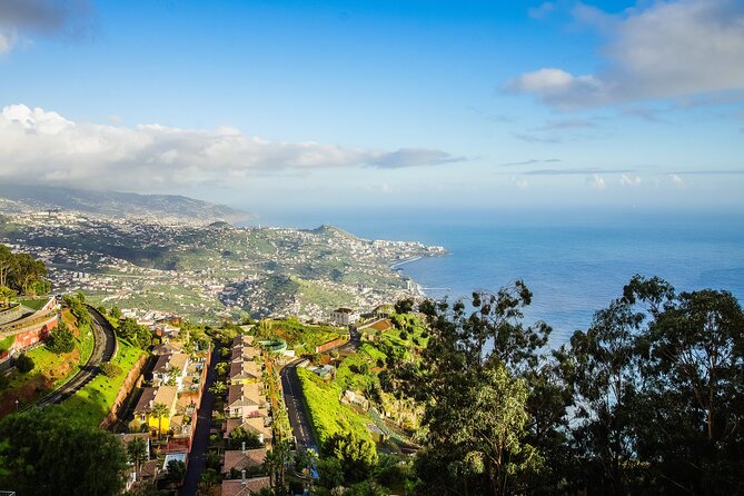 Madeira Full Day Tour West and East Island Top Highlights Tour - Porto Moniz Natural Swimming Pools: The Swim and Lunch Anchor Stop
