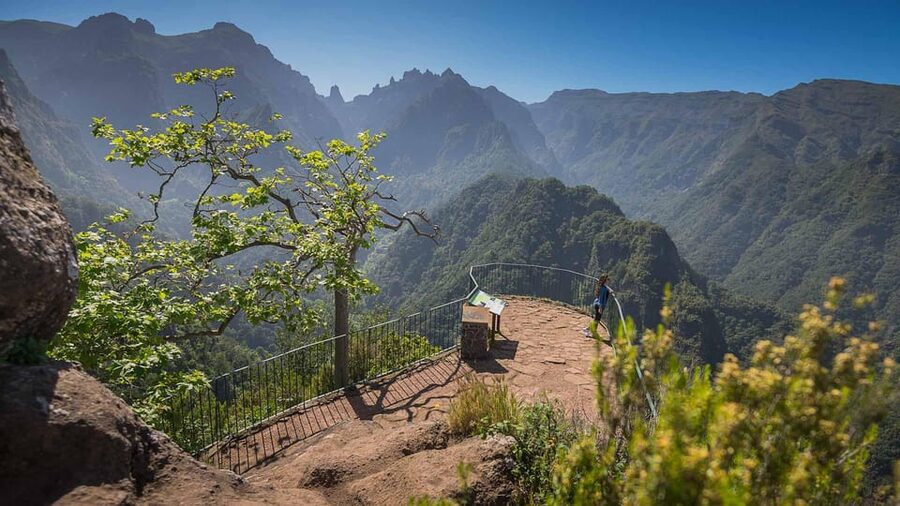 Madeira Funchal:East Tour Pico Arieiro & Santana&Laurissilva - Ribeiro Frio and Laurissilva UNESCO forest, the cooler side of Madeira