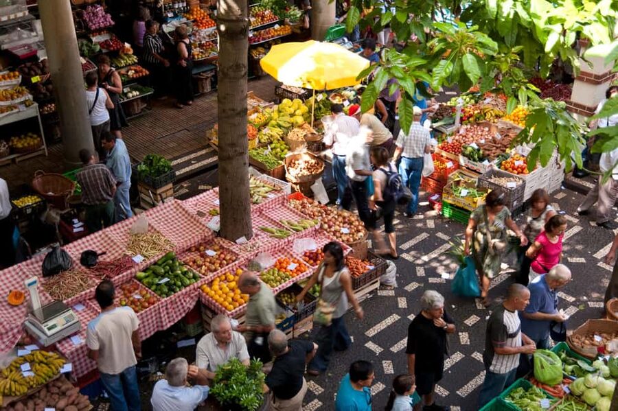 Madeira: Funchal's Eco Private City Tour - Should You Book the Madeira Funchal Eco Private City Tour?