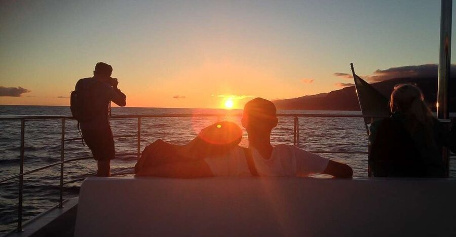Madeira: Funchal Sunset Tour by Catamaran - Key Things That Matter on This Catamaran Sunset Tour