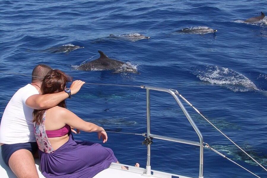 Madeira: Funchal Sunset Tour by Catamaran - Meeting in Funchal Marina, then the Atlantic takes over