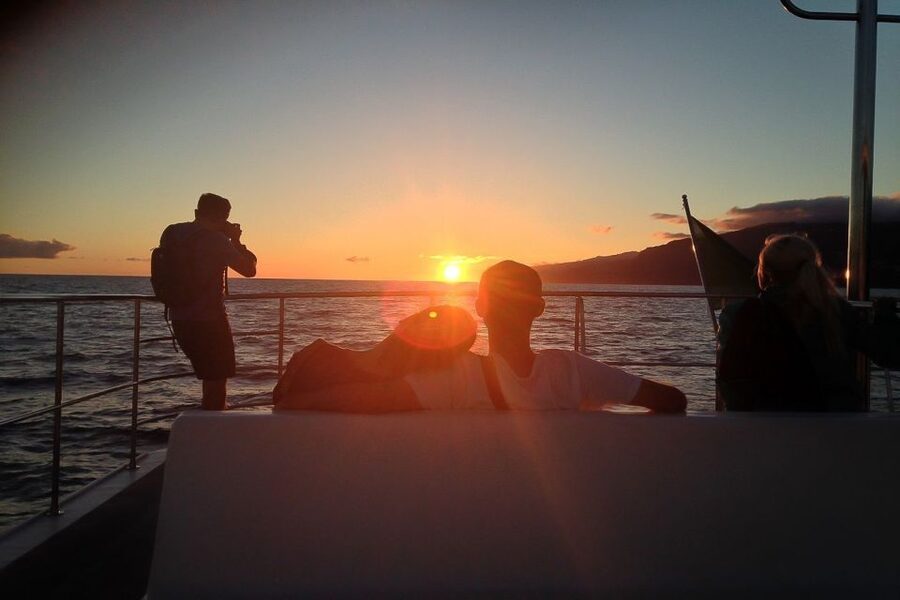 Madeira: Funchal Sunset Tour by Catamaran - A 3-hour Madeira sunset cruise along the south coast