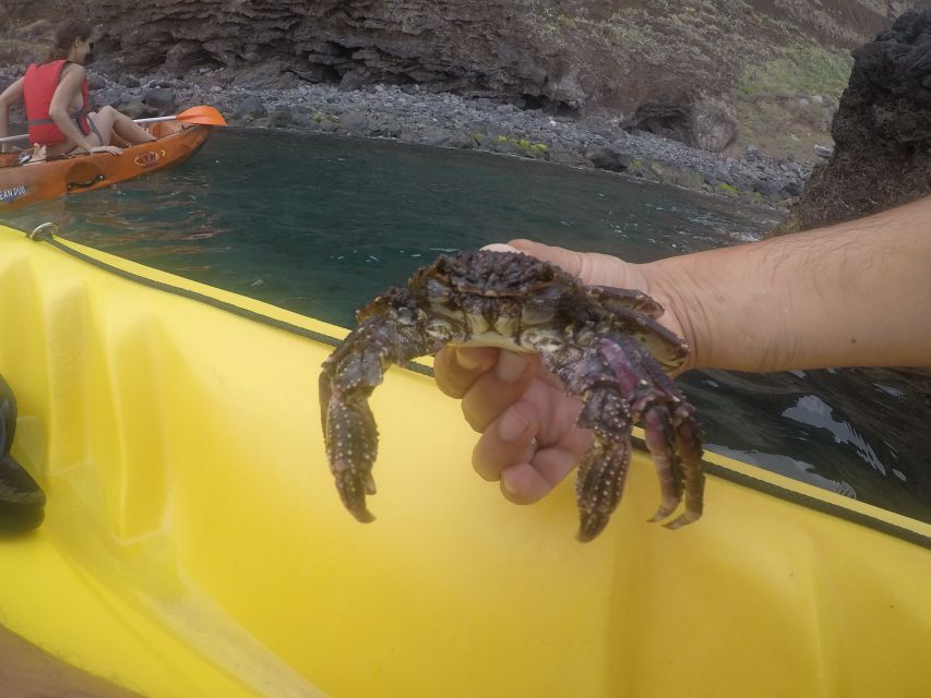 Madeira: Garajau Nature Reserve Kayak and Snorkel Tour - What’s Included, What to Bring, and Your Simple Gear Checklist