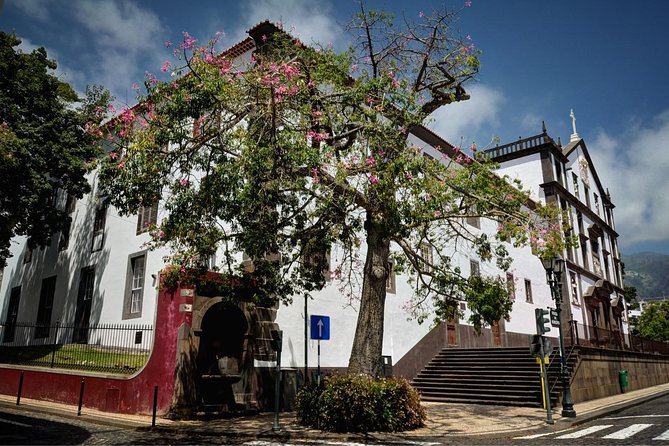 Madeira Grand Experience by Tukxi, Private Tour - Madeira Botanical Garden: the one stop where admission costs extra