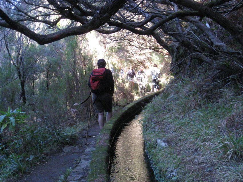Madeira: Guided Full-Day Rabaçal Walk - Paúl da Serra to Rabaçal guesthouse: where the day’s rhythm begins