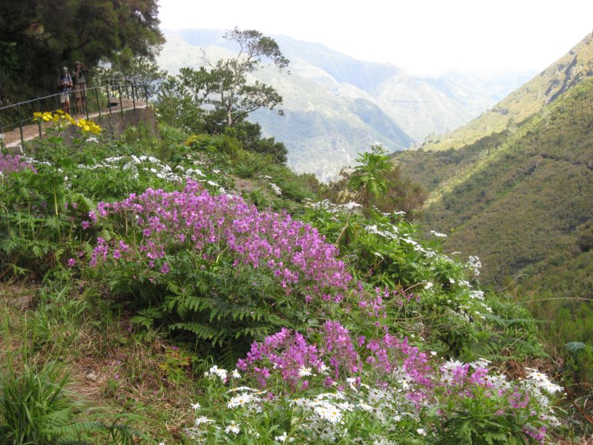 Madeira: Guided Full-Day Rabaçal Walk - The return: the 800-meter tunnel and a smoother ending