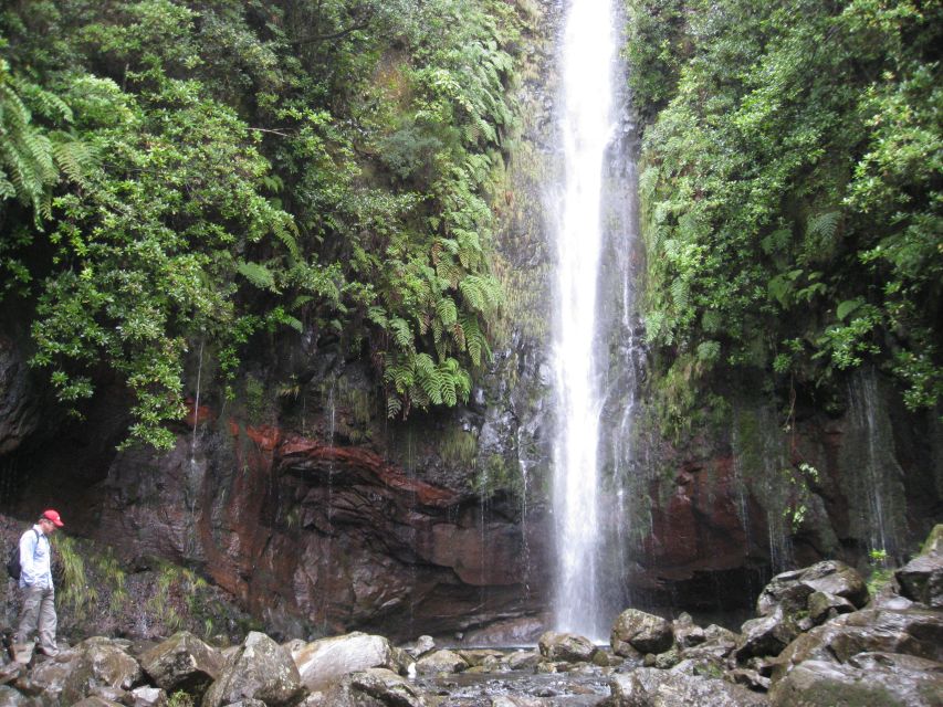 Madeira: Guided Full-Day Rabaçal Walk - Price and value: what you get for $53, plus the small add-on