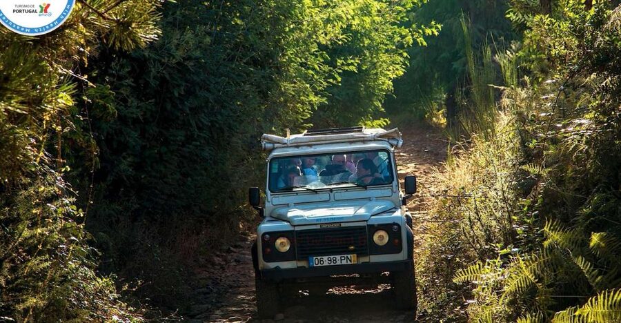 Madeira: Half-Day Nun's Valley and Sea Cliff Tour - Price and Value: What You’re Really Paying For