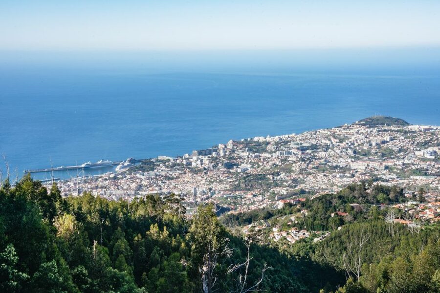 Madeira: Half-Day Pico Arieiro Jeep Tour - Laurissilva Forest off-road time, what you should expect