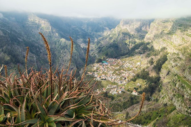 Madeira Half Day Small-Group Tour from Funchal - Stop 3: Curral das Freiras, a mountain bowl with a tasting chance