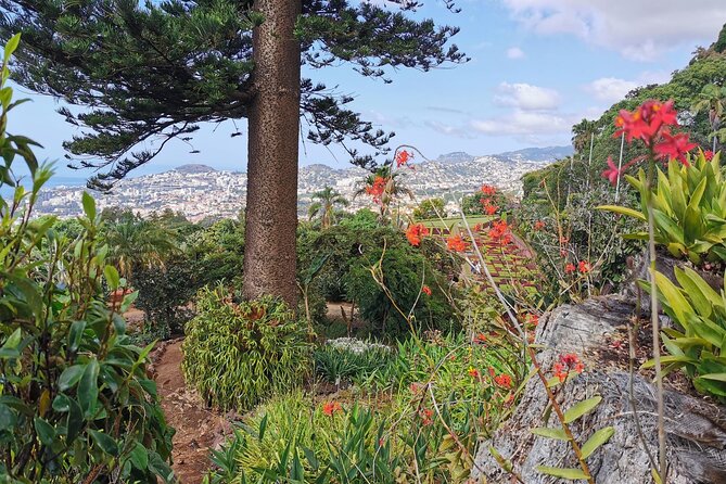 Madeira Highlights: Toboggan, Garden & Cable Car (All-Inclusive) - Stop 2: Monte Palace Madeira and the Tropical Garden Walk (Bring Good Shoes)