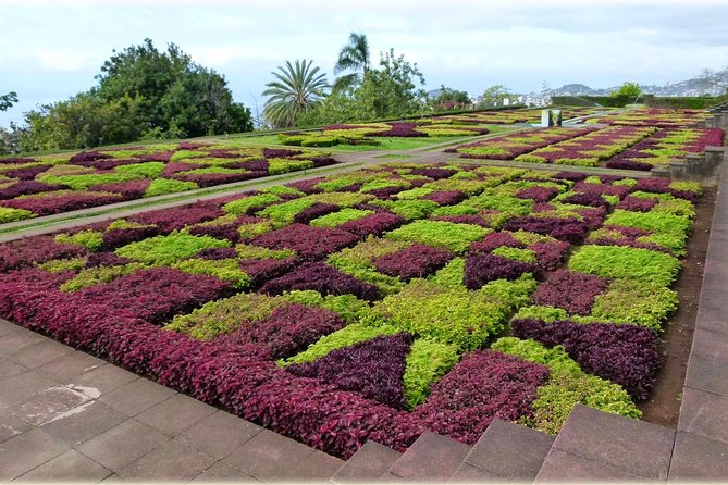 Madeira Highlights: Toboggan, Garden & Cable Car (All-Inclusive) - Extras You Might Get in the Real-World Flow (Skywalk and Fishing Village)