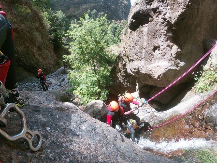 Madeira: Intermediate (Level 2) Canyoning Experience - Photos and videos included: you get proof, not just stories
