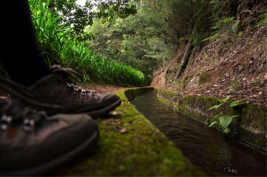 Madeira Island: Caldeirão Verde Levada Walk - Getting to Queimadas Forest Park: the easy start that sets the day up right