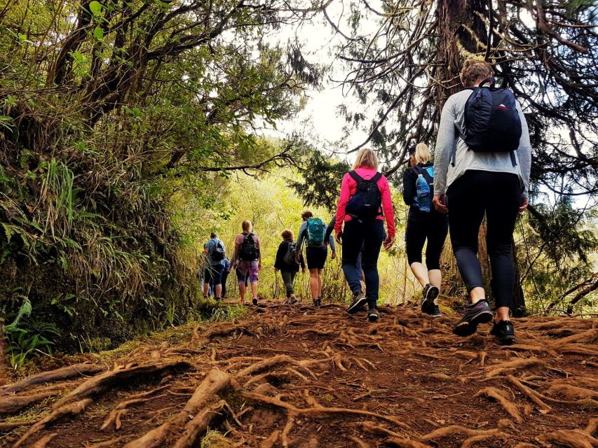 Madeira Island: Caldeirão Verde Levada Walk - Guides, safety, and the difference between a hike and a guided day