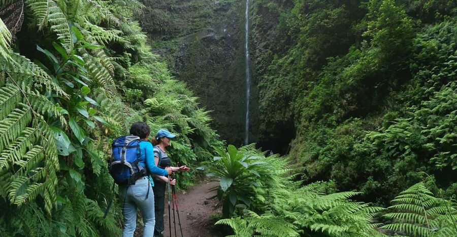 Madeira Island: Caldeirão Verde Levada Walk - What to pack for a muddy, mossy, tunnel-heavy levada walk