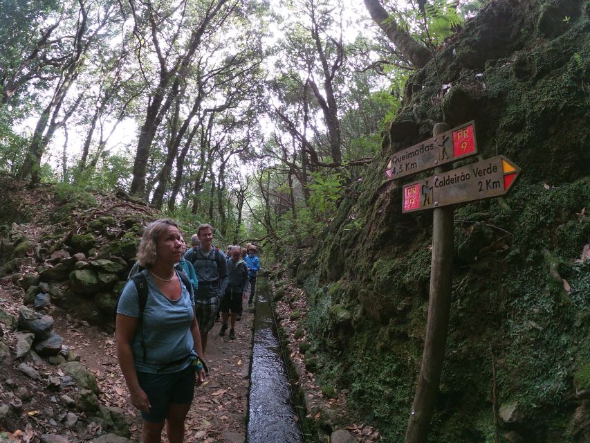 Madeira Island: Caldeirão Verde Levada Walk - Who should book this Caldeirão Verde levada walk, and who should skip it