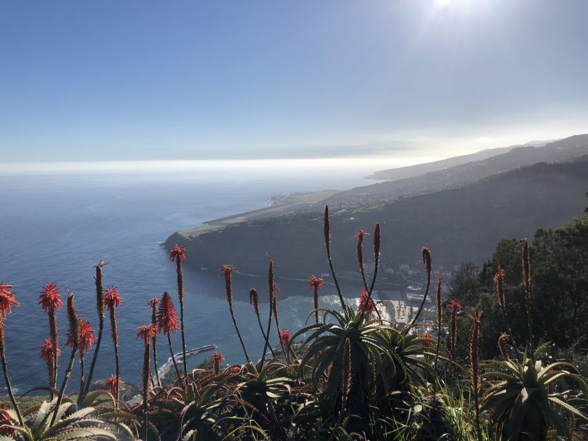 Madeira Island: Full-Day Guided Tour of Eastern Madeira - Caniçal, the Easternmost Tip: Sea Cliffs and a Whaling-Era Memory