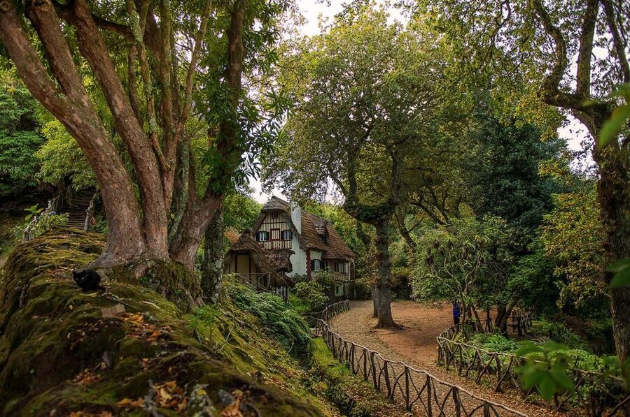 Madeira Island: Full-Day Guided Tour of Eastern Madeira - Santana’s Straw-Roof Houses: Heritage You Can See and Touch