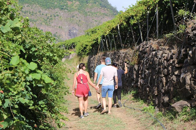 Madeira Island Private Wine Full-day Tour in all terrain vehicle - Stop 5: Estreito de Câmara de Lobos for Terraced Vineyards