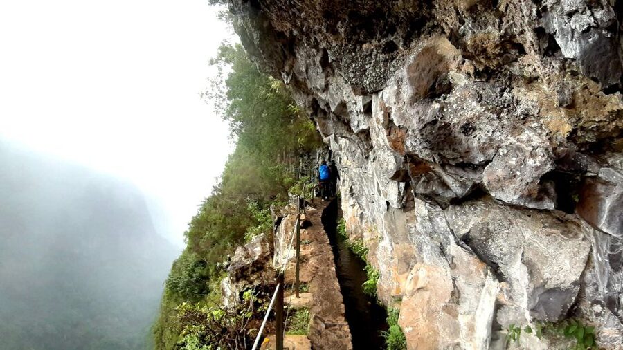 Madeira: Jungle Fever Levada Caldeirao Verde Hike Santana - Madeira Levada Caldeirão Verde, the laurissilva forest feeling, and why it is a standout day