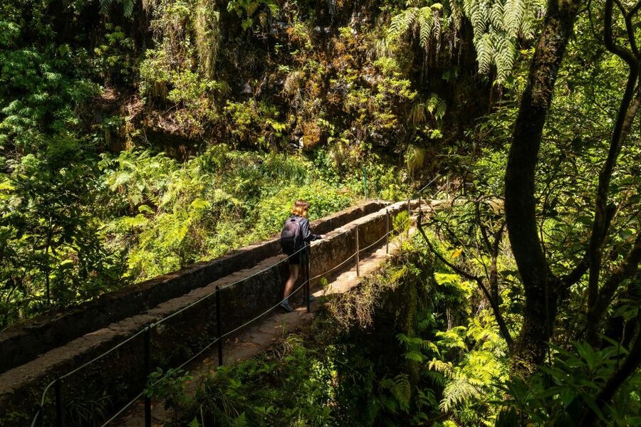 Madeira: Jungle Fever Levada Caldeirao Verde Hike Santana - Why the picnic at Caldeirão Verde is more than a break