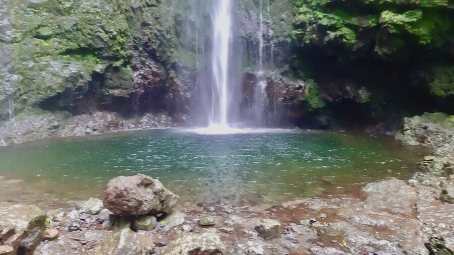 Madeira: Jungle Fever Levada Caldeirao Verde Hike Santana - Santana Traditional Houses visit: a short stop that adds meaning