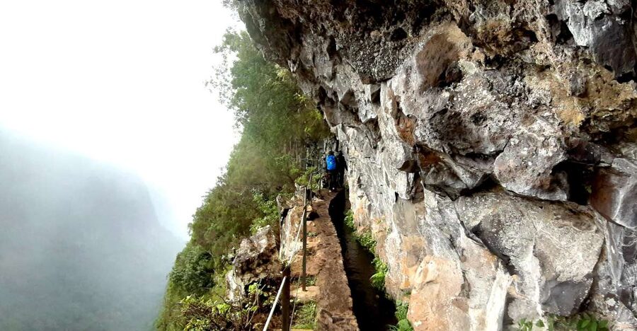 Madeira: Jungle Fever Levada Caldeirao Verde Hike Santana - Poncha time: the practical drink stop that keeps the mood right