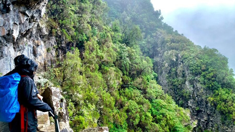 Madeira: Jungle Fever Levada Caldeirao Verde Hike Santana - Weather on Madeira: when plans shift and how to protect your day