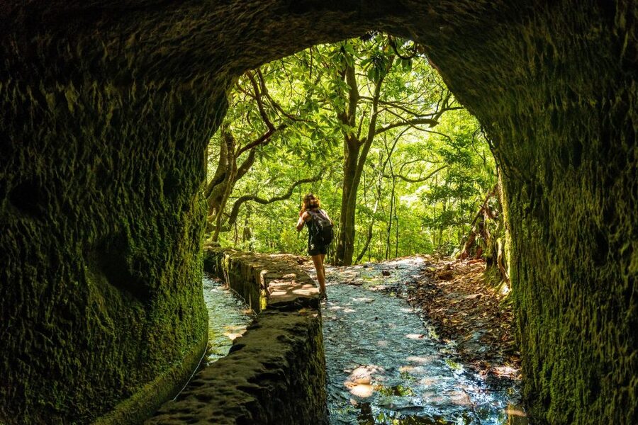 Madeira: Jungle Fever Levada Caldeirao Verde Hike Santana - Price and what $74 really covers