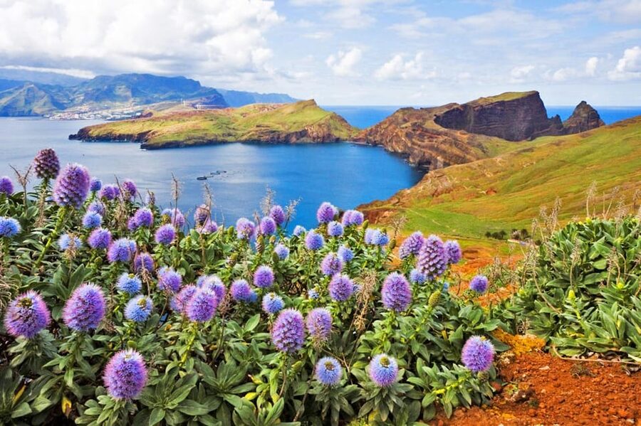 Madeira: Late East Tour with Pico do Areeiro Views - Faial, Canical, and viewpoint stops: the east coast’s cliff drama