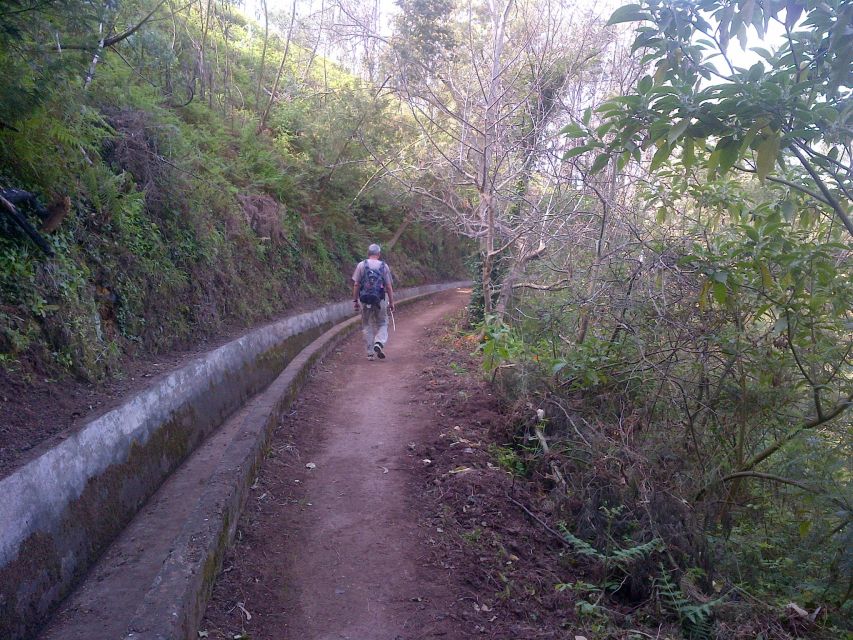 Madeira: Levado do Norte 2-Hour Hiking Tour - Walking the Levado do Norte, Madeira’s irrigation lifeline