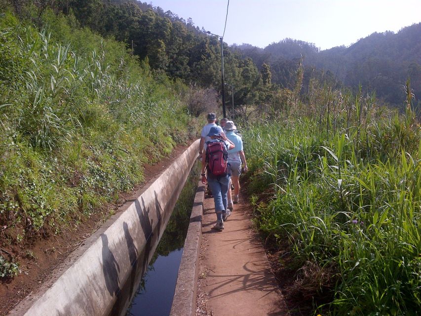 Madeira: Levado do Norte 2-Hour Hiking Tour - Guide support in five languages, and why it matters on a levada