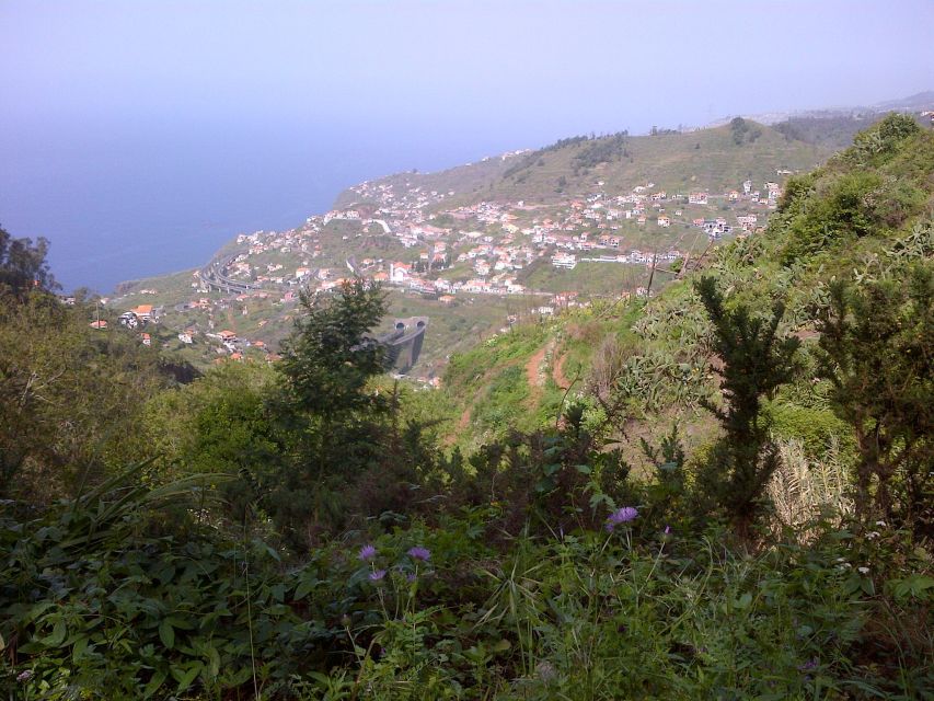 Madeira: Levado do Norte 2-Hour Hiking Tour - Should you book the Levado do Norte 2-hour hike?