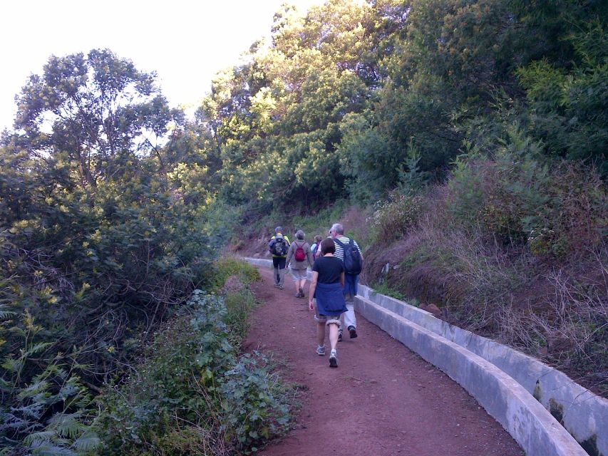 Madeira: Maroços Landscapes 2.5-Hour Guided Walk - Key things to know before you go