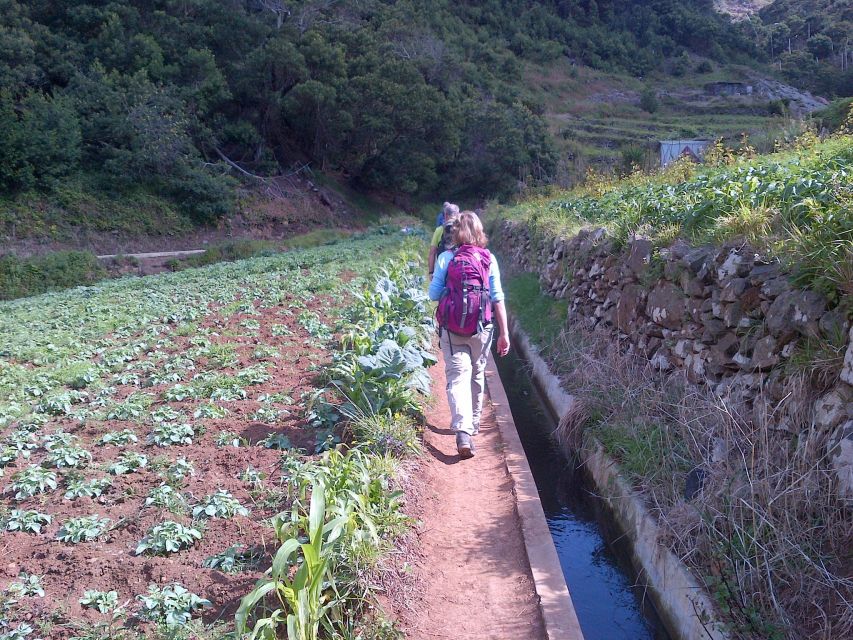 Madeira: Maroços Landscapes 2.5-Hour Guided Walk - Maroços and Machico, why this walk feels real