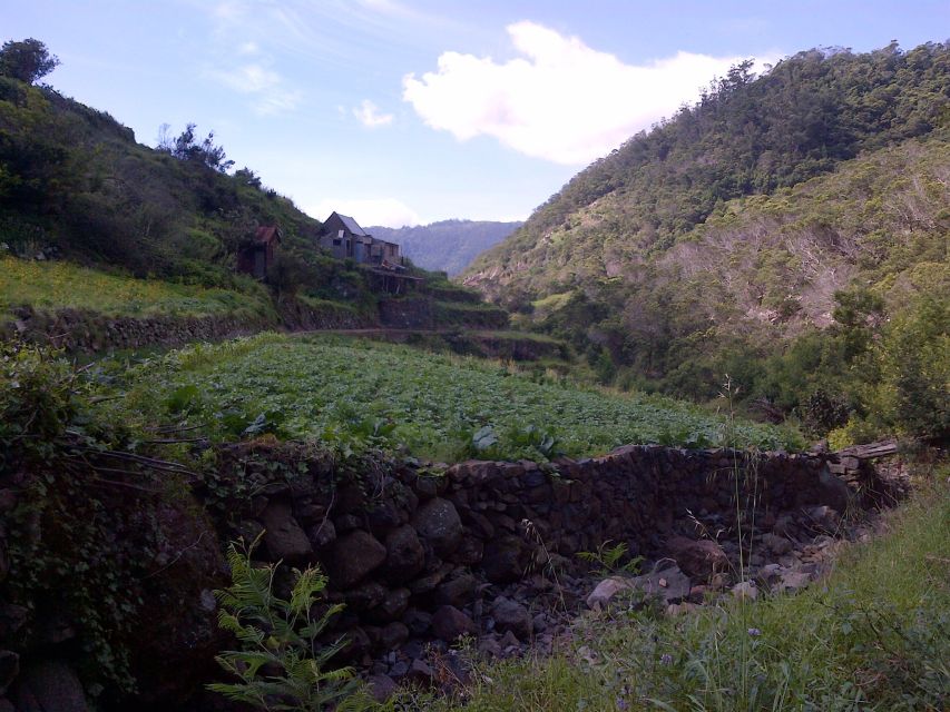 Madeira: Maroços Landscapes 2.5-Hour Guided Walk - Flowers, fruit you can buy, and how to handle the sensory overload