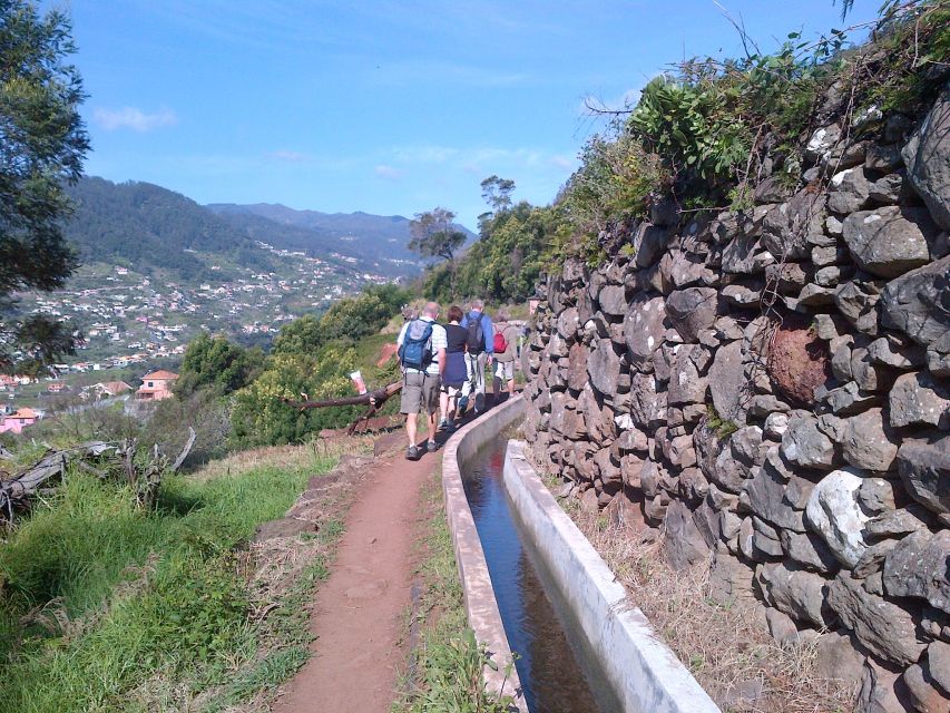 Madeira: Maroços Landscapes 2.5-Hour Guided Walk - Group pacing and guide tips so you get your money’s worth
