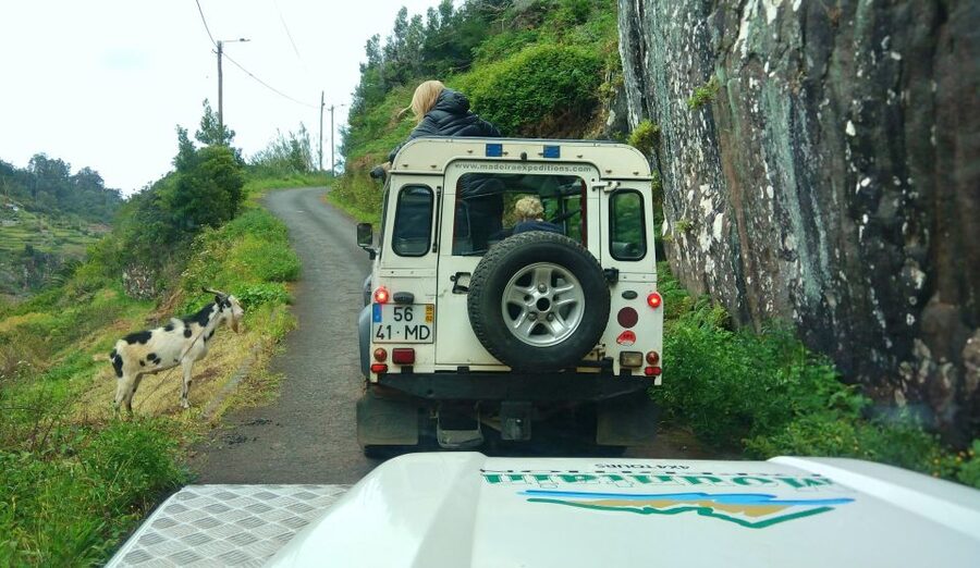 Madeira: Mini-Combo East Challenge: Jeep Safari + Levada - Key Highlights You Should Know