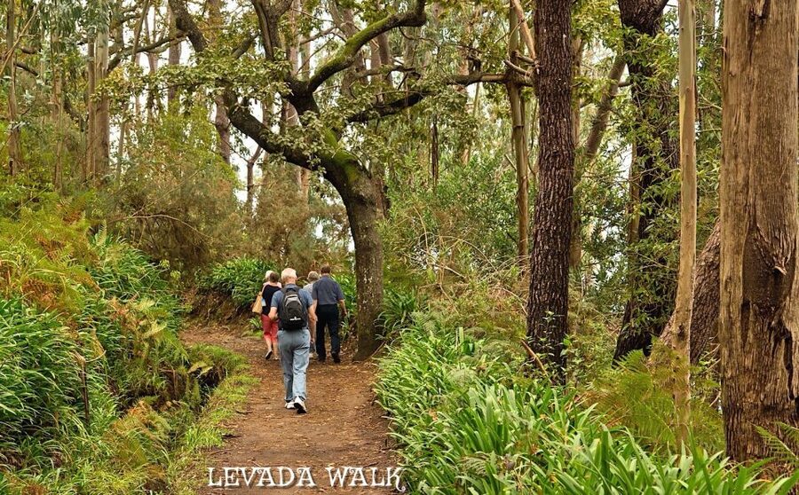 Madeira: Mini-Combo East Challenge: Jeep Safari + Levada - If you should book: yes, if you want variety without the long day