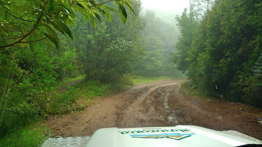 Madeira: Mini-Combo East Challenge: Jeep Safari + Levada - Jeep drive to remote-feeling Morena, where the island looks less touristic