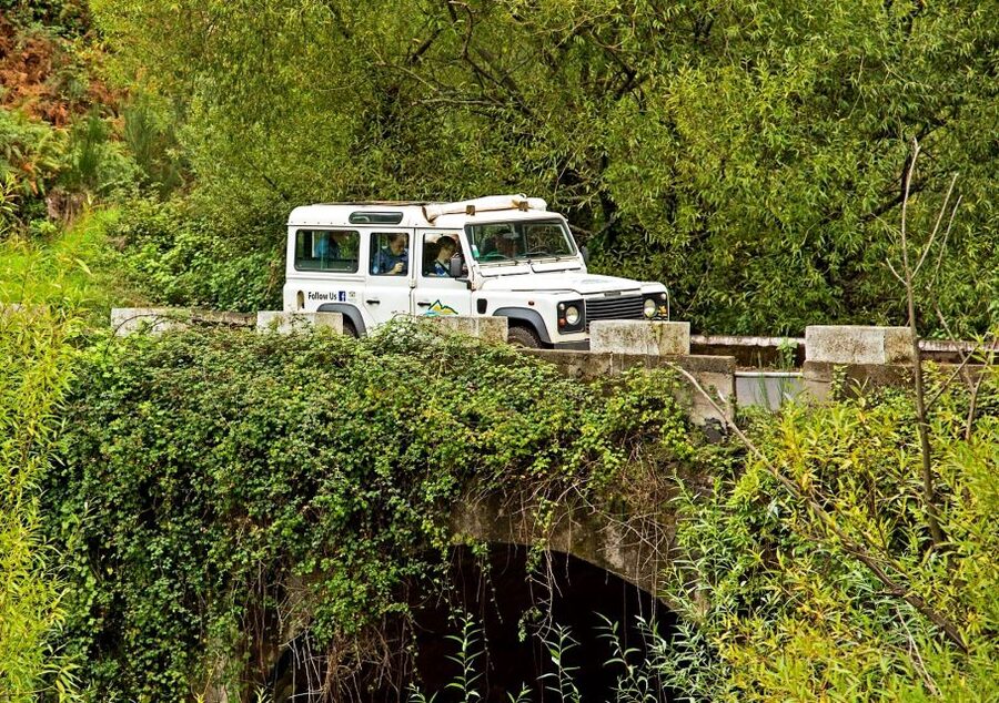 Madeira: Mini-Combo East Challenge: Jeep Safari + Levada - The easy 30-minute Levada walk: short, scenic, and very Madeira