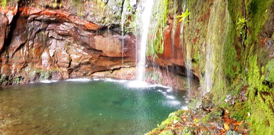 Madeira: Mountain Walk with Lagoon and Waterfalls - Why Levada das 25 Fontes Delivers One Big Waterfall Moment