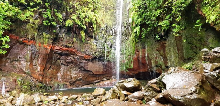 Madeira: Mountain Walk with Lagoon and Waterfalls - Price and Value: Does $55 Make Sense for a Full Guided Mountain Day?