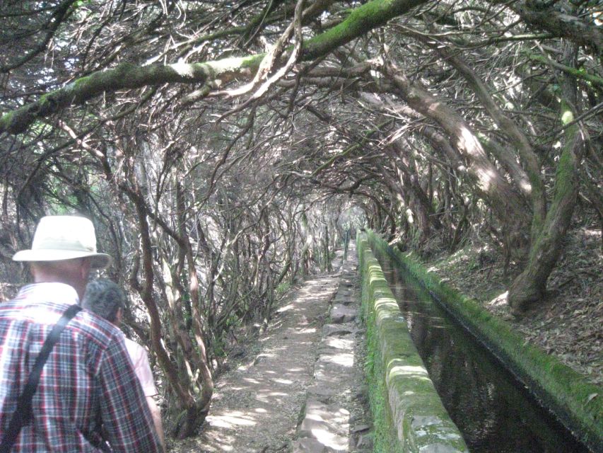 Madeira: Mountain Walk with Lagoon and Waterfalls - What to Bring for a Comfortable Levada Day
