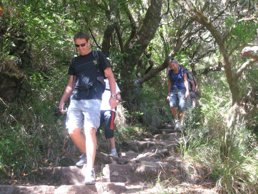 Madeira: Mountain Walk with Lagoon and Waterfalls - Who This Hike Fits Best